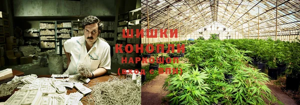 шишки Новозыбков