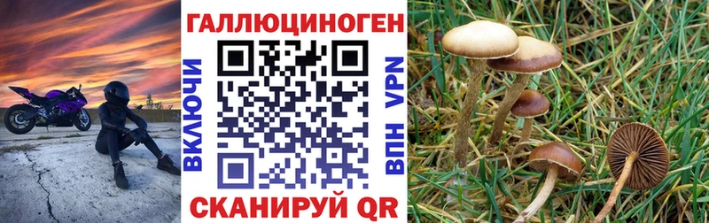 как найти закладки Верещагино Галлюциногенные грибы прущие грибы